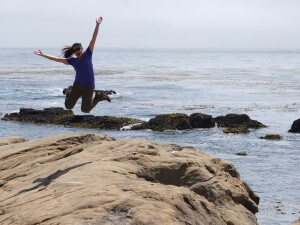 Point Lobos State Park