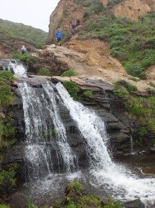 Palomarin Trailhead to Alamere Falls, Point Reyes, CA
