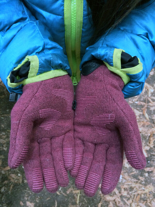 Outdoor Research Longhouse Gloves Review