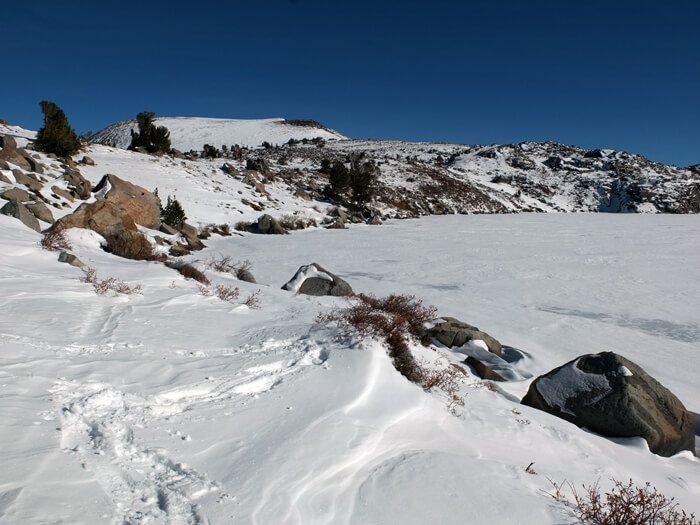 Mokelumne Wilderness snowshoeing