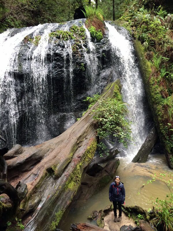 Russian Gulch State Park: Fern Canyon