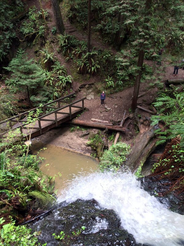 Russian Gulch State Park: Fern Canyon