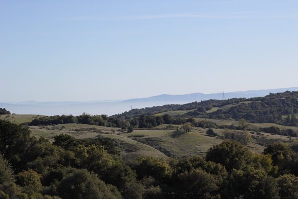 Russian Ridge OSP: Ancient Oaks, Charquin, Borel Hill