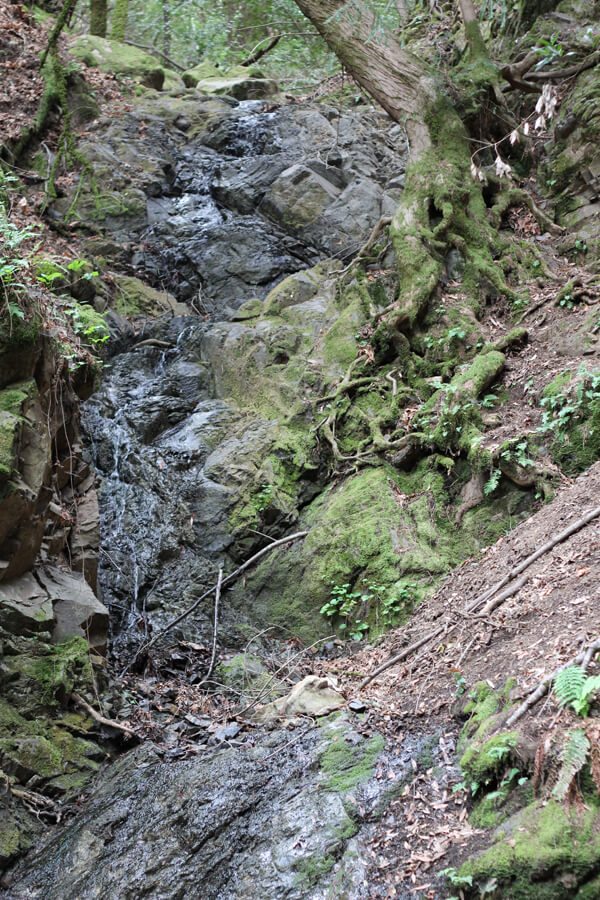 Hiking Uvas Canyon County Park and Waterfall Loop