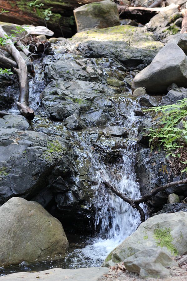 Hiking Uvas Canyon County Park and Waterfall Loop