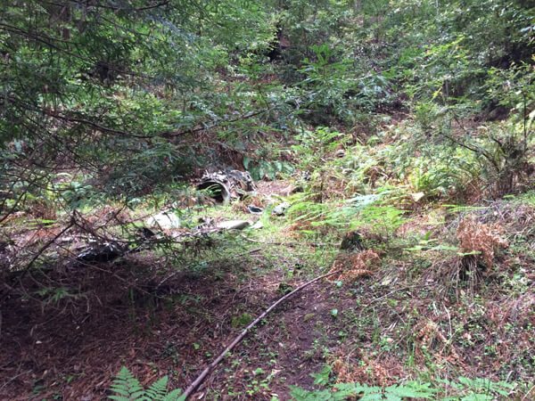 El Corte Madera Open Space Preserve: Resolution Trail and Plane Crashes