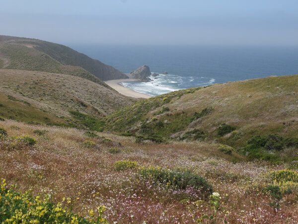 Point Reyes National Seashore: Tomales Point