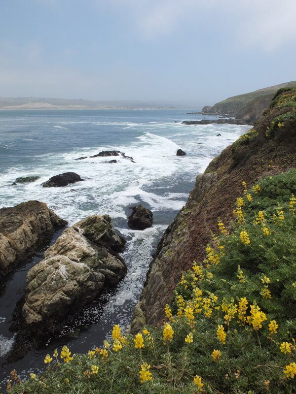 Point Reyes National Seashore: Tomales Point