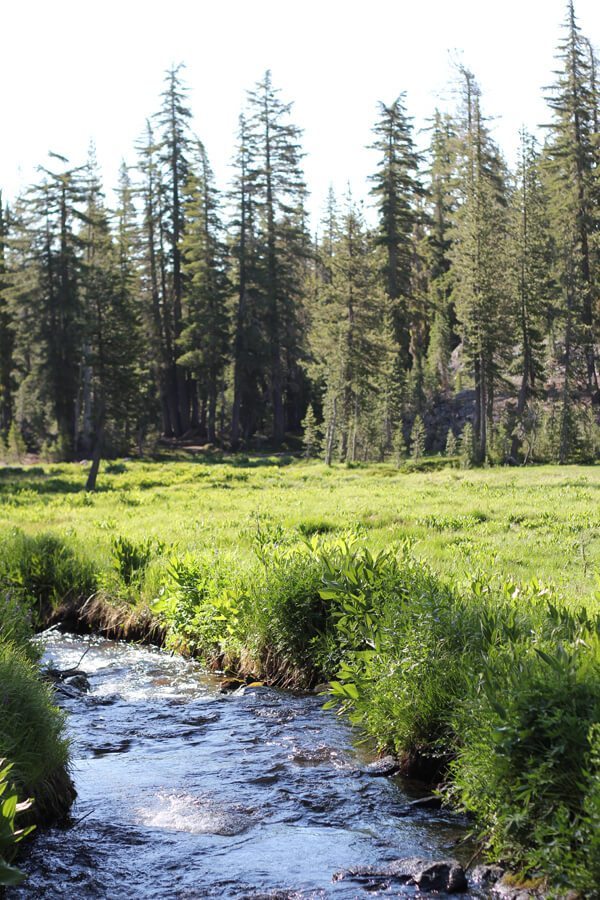 Lassen Volcanic NP: Kings Creek Falls, Bench Lake & Sifford Lake