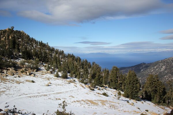 Lake Tahoe Basin: Freel Peak via Trout Creek