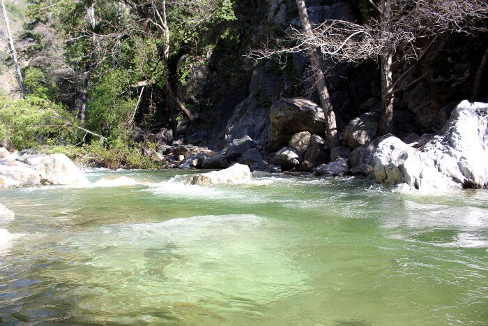 Pfeiffer Big Sur State Park: Big Sur River & Pfeiffer Falls Trip Report February 2015