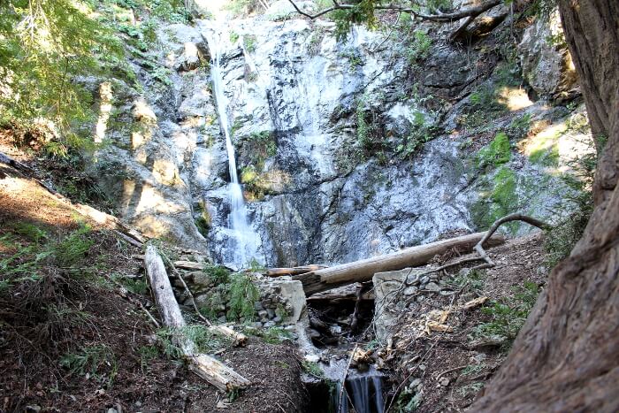 Pfeiffer Big Sur State Park: Big Sur River & Pfeiffer Falls Trip Report February 2015