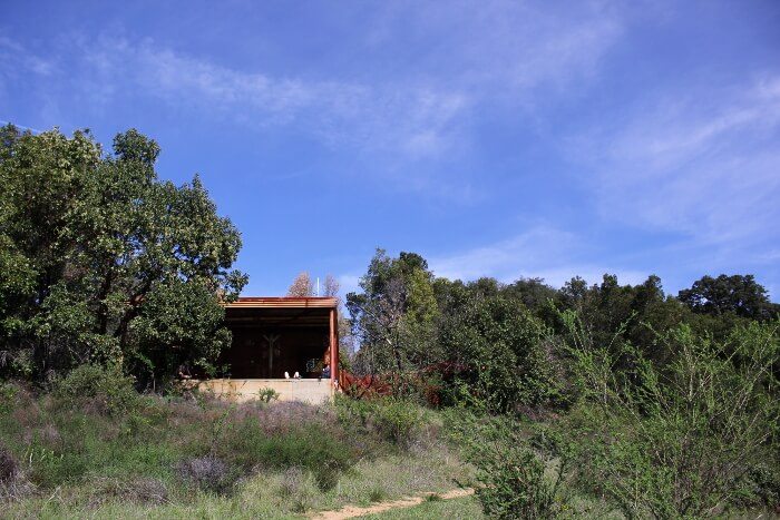 Julia Pfeiffer Burns State Park: Tin House via Tan Bark Trail Trip Report Review