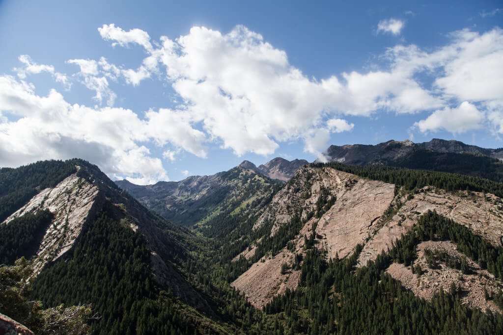 Summer #ORShow #hikerchat Hike Mill D Trail Hidden Falls