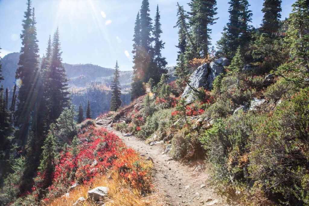 Hiking Heather-Maple Pass Loop Trip Report