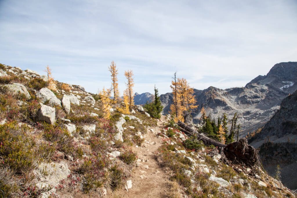 Hiking Heather-Maple Pass Loop Trip Report