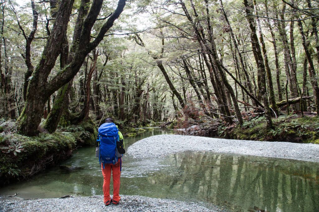 Hiking the Routeburn Track New Zealand