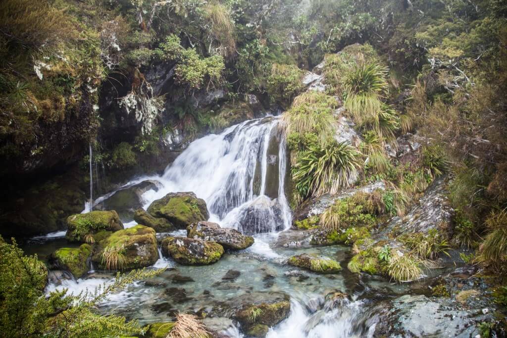 Day 3 Routeburn Track Lake Mackenzie to Divide Shelter