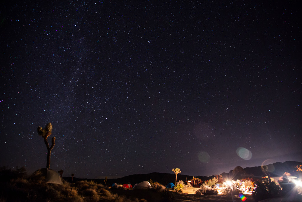 A Weekend in Joshua Tree #rallythetribe