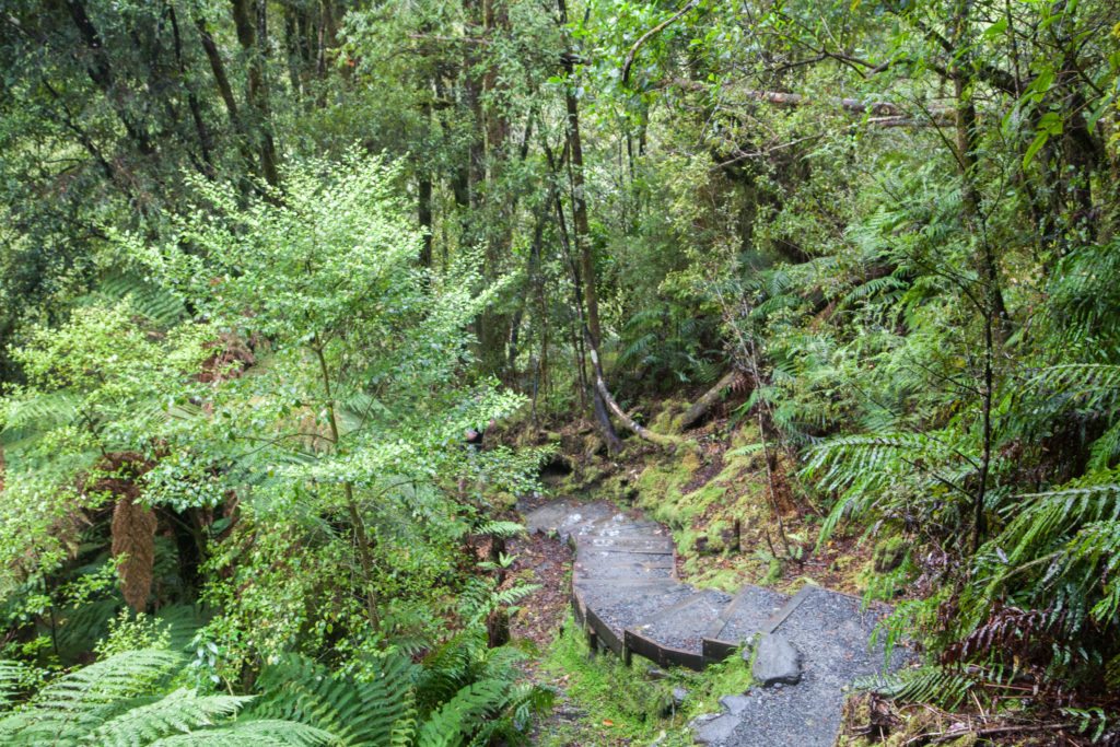 Hiking Lake Matheson Fox Glacier New Zealand