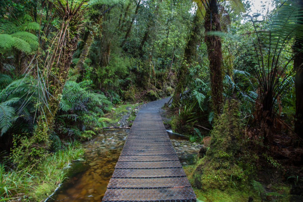 Hiking Lake Matheson Fox Glacier New Zealand