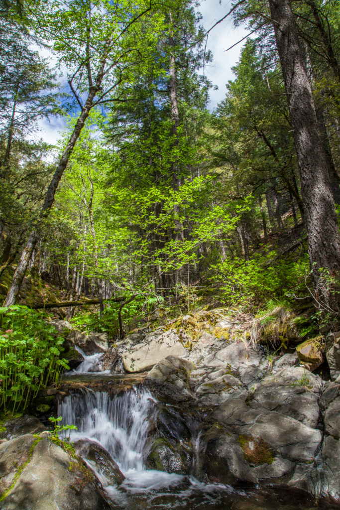 Hiking Castle Crags State Park