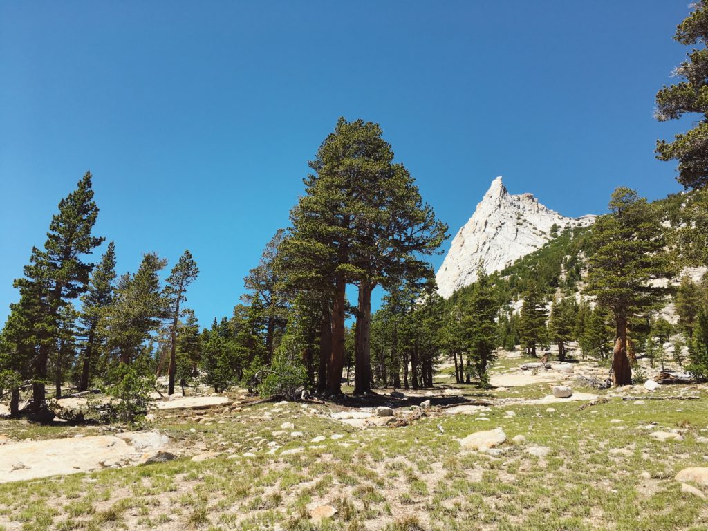 Climbing Cathedral Peak June 2016