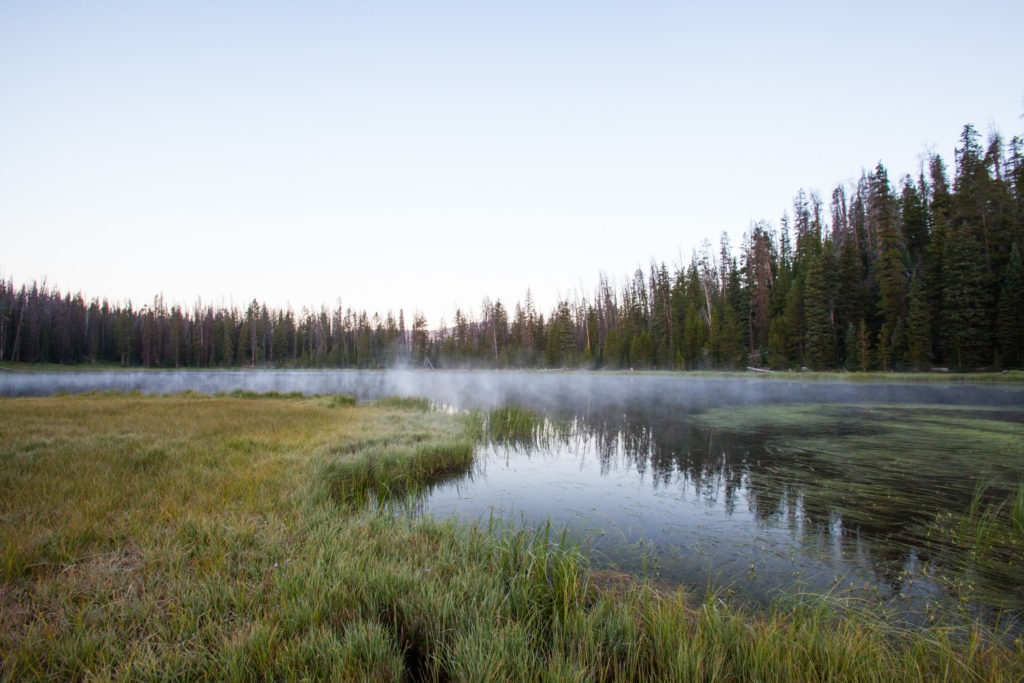 Backpacking the Uintas, Wilder Lake to Highline Trailhead