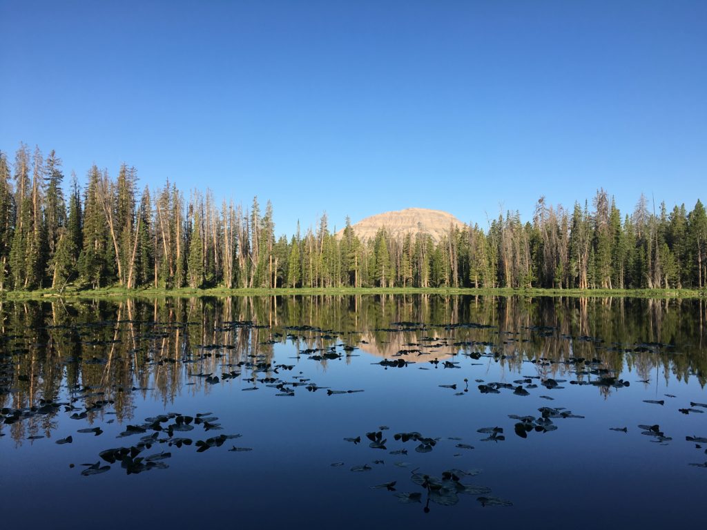 Backpacking the Uintas, Wilder Lake to Highline Trailhead