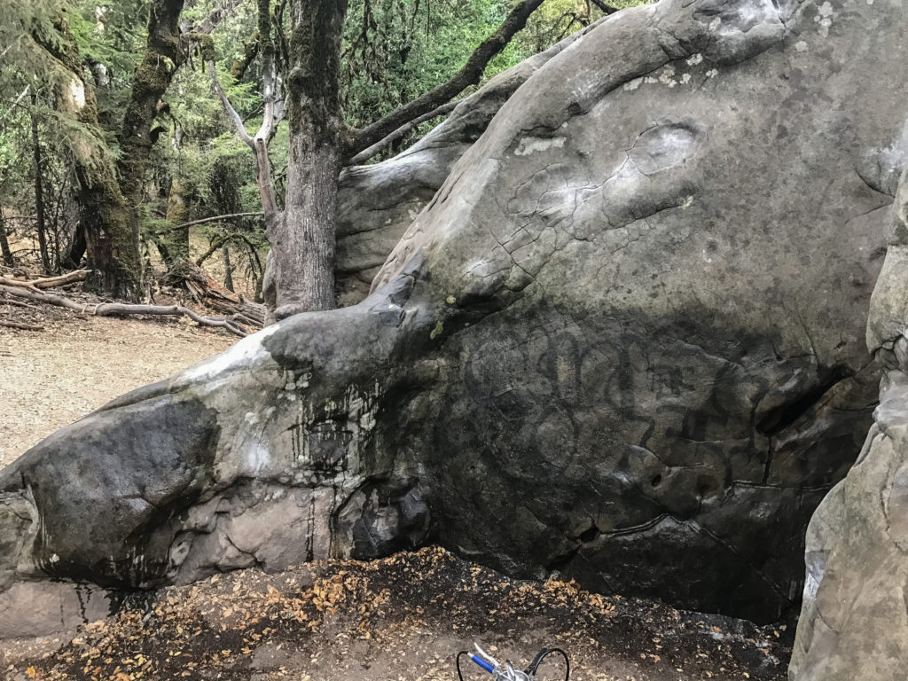 Bay Area Climbers Coalition Castle Rock Clean Up Adopt a Crag