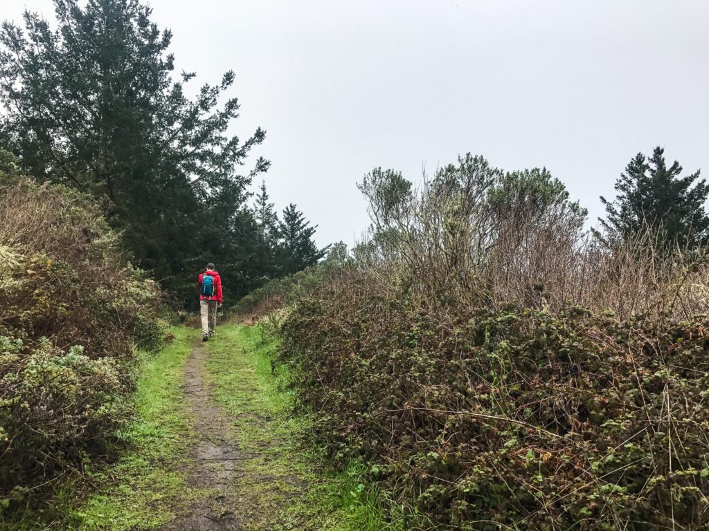 Hiking Purisima Creek Redwoods February 2017