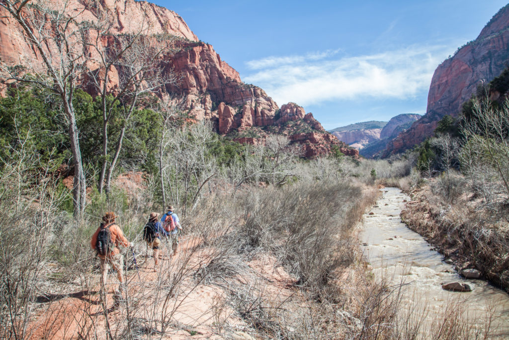 Zion Traverse Trans Zion Trek March 2017