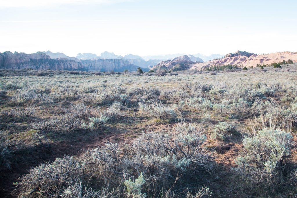 Zion Traverse March 2017 Conditions Wildcat Canyon West Rim