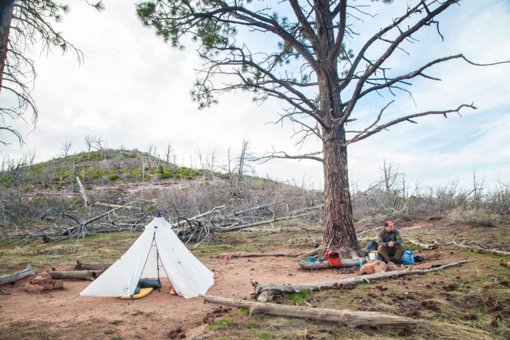 Zion Traverse March 2017 Conditions Wildcat Canyon West Rim Potato Hollow Camping