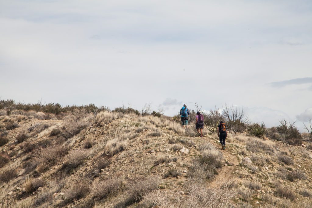 Feral Female Weekend Outdoor Female Friendship Force of Nature