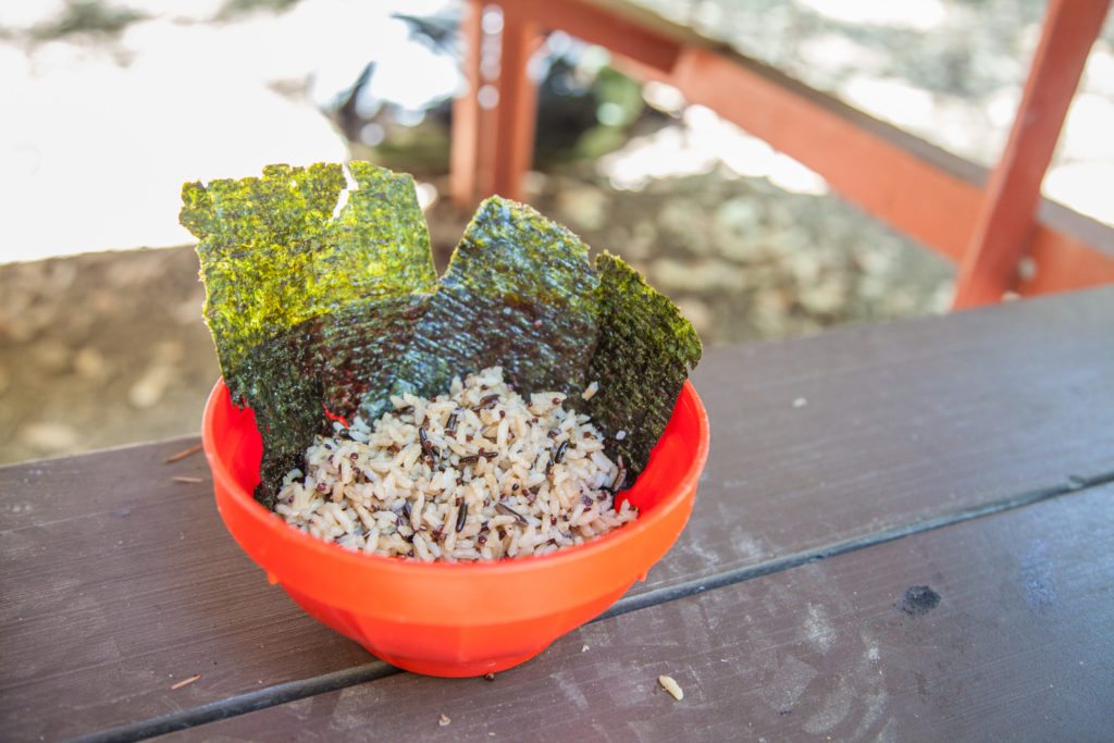 Salmon Rice Bowl Camp Backpacking Recipe