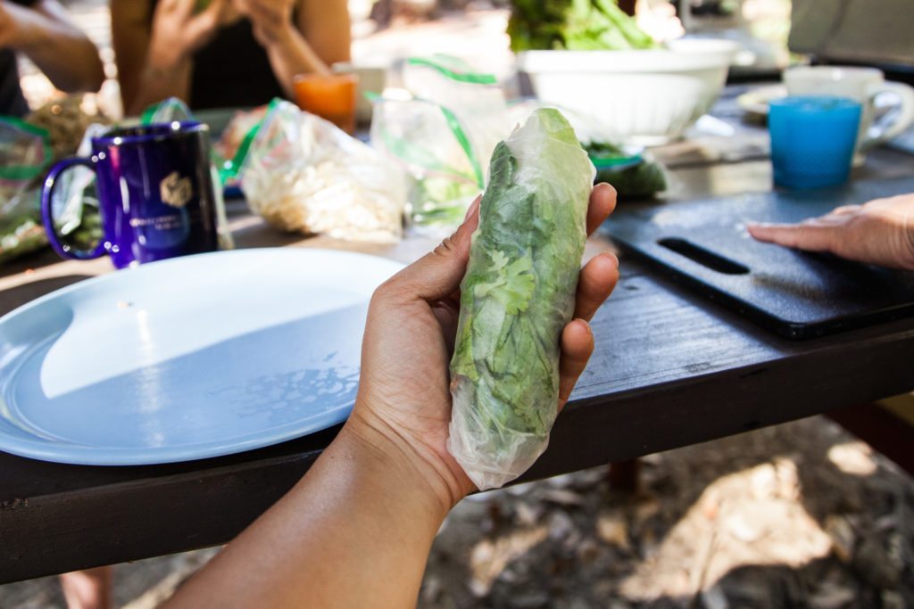 Frontcountry Vietnamese Spring Roll Camp Recipe