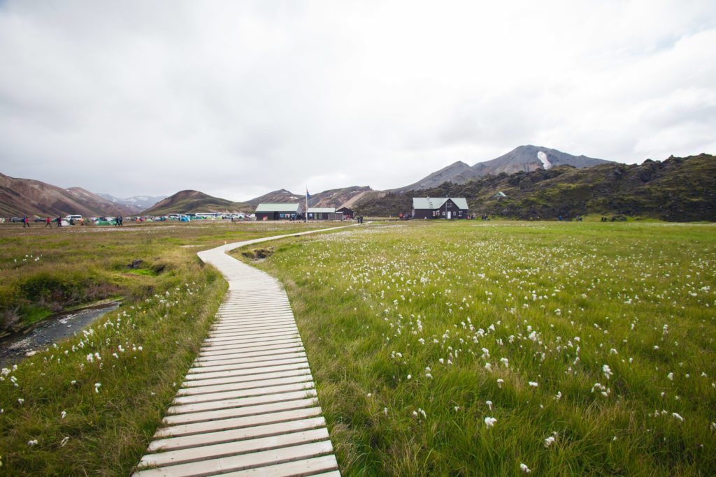 Hiking Landmannalaugar Iceland