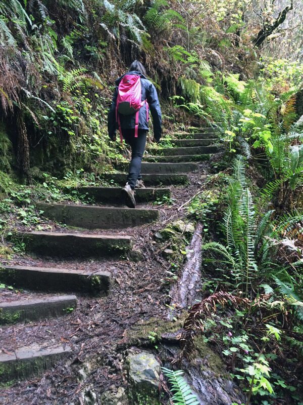 Hiking Russian Gulch State Park, Fern Canyon and Waterfall Loop