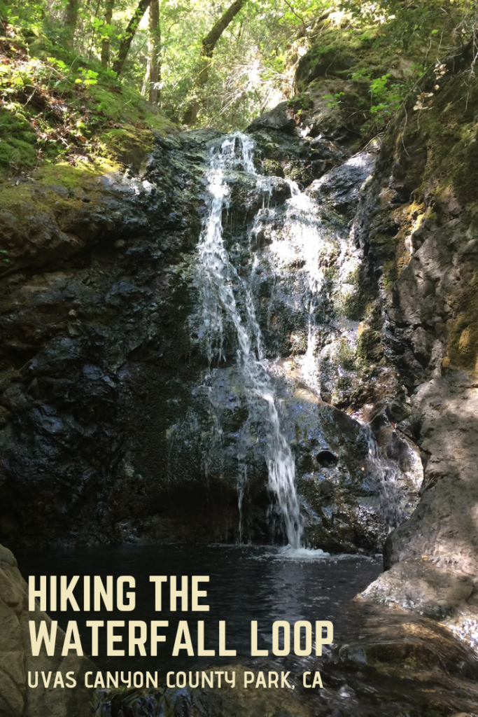 Hiking Uvas Canyon County Park Waterfall Loop
