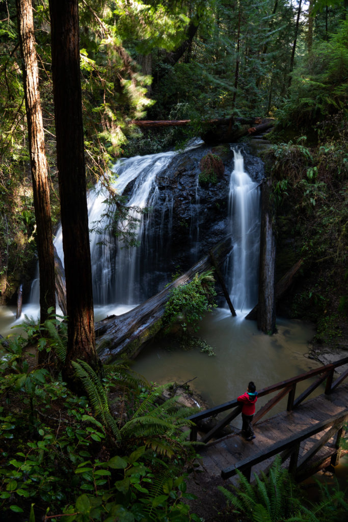 Hiking Russian Gulch State Park, Fern Canyon Waterfall Loop