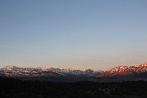 Travertine Hot Springs - littlegrunts.com
