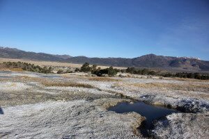 Travertine Hot Springs - littlegrunts.com