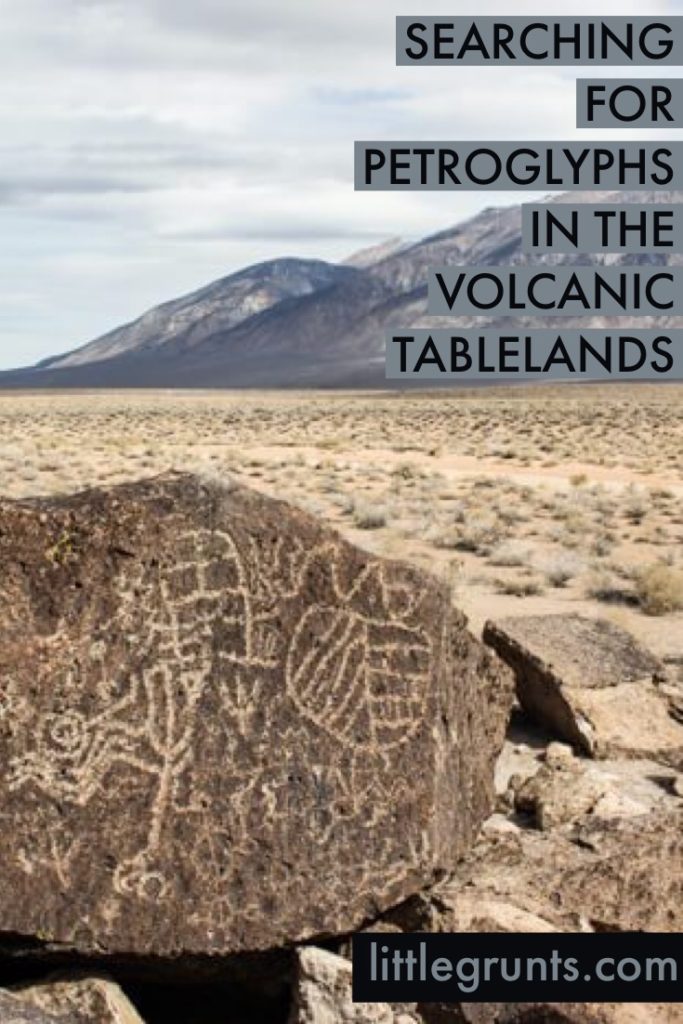 Volcanic Tablelands Petroglyphs