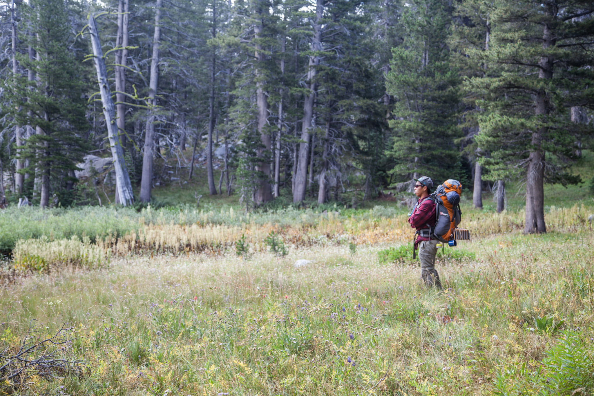 Backpacking Meiss Lake, Mokelumne Wilderness Trip Report