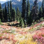 Hiking Heather-Maple Pass Loop Trip Report