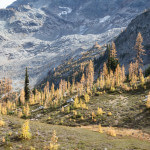 Hiking Heather-Maple Pass Loop Trip Report