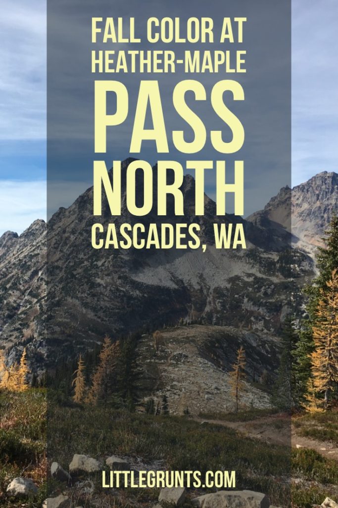 Fall color at Heather Maple Pass, North Cascades, WA