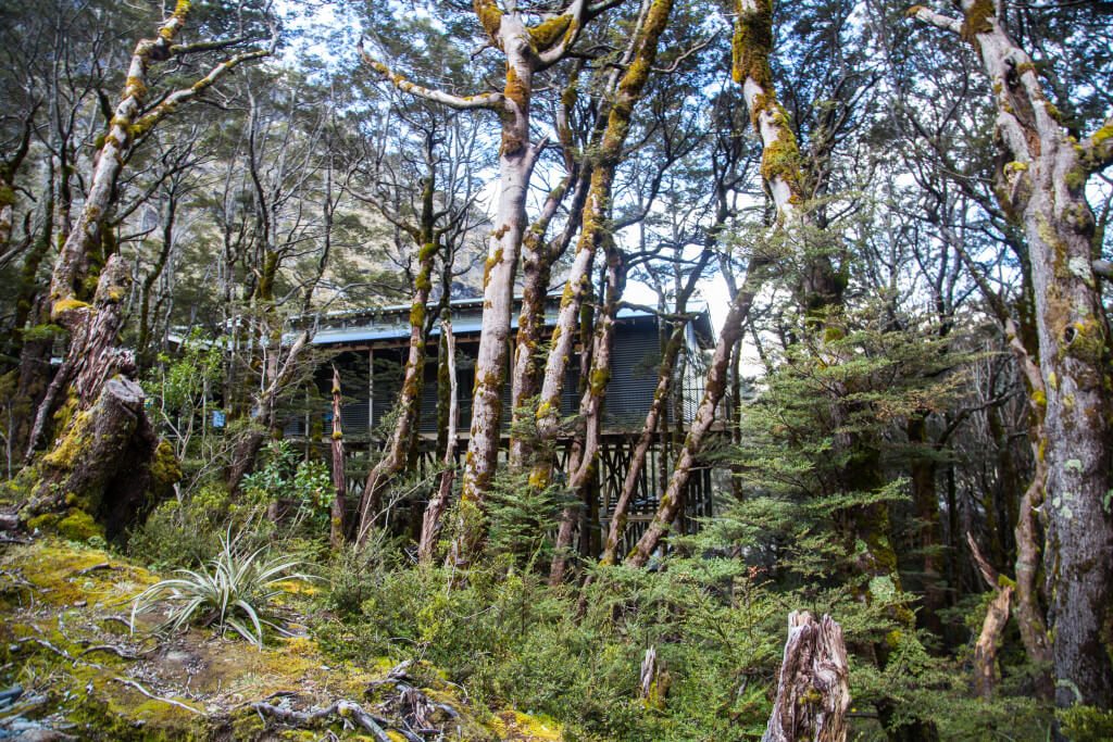 Backpacking the Routeburn Track, New Zealand