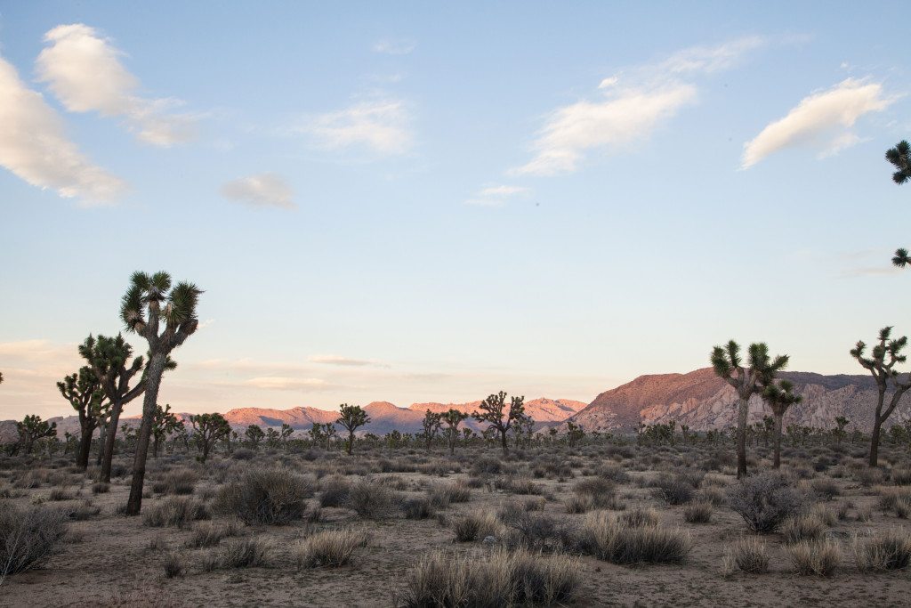 Desert Renewable Energy Conservation Plan DRECP